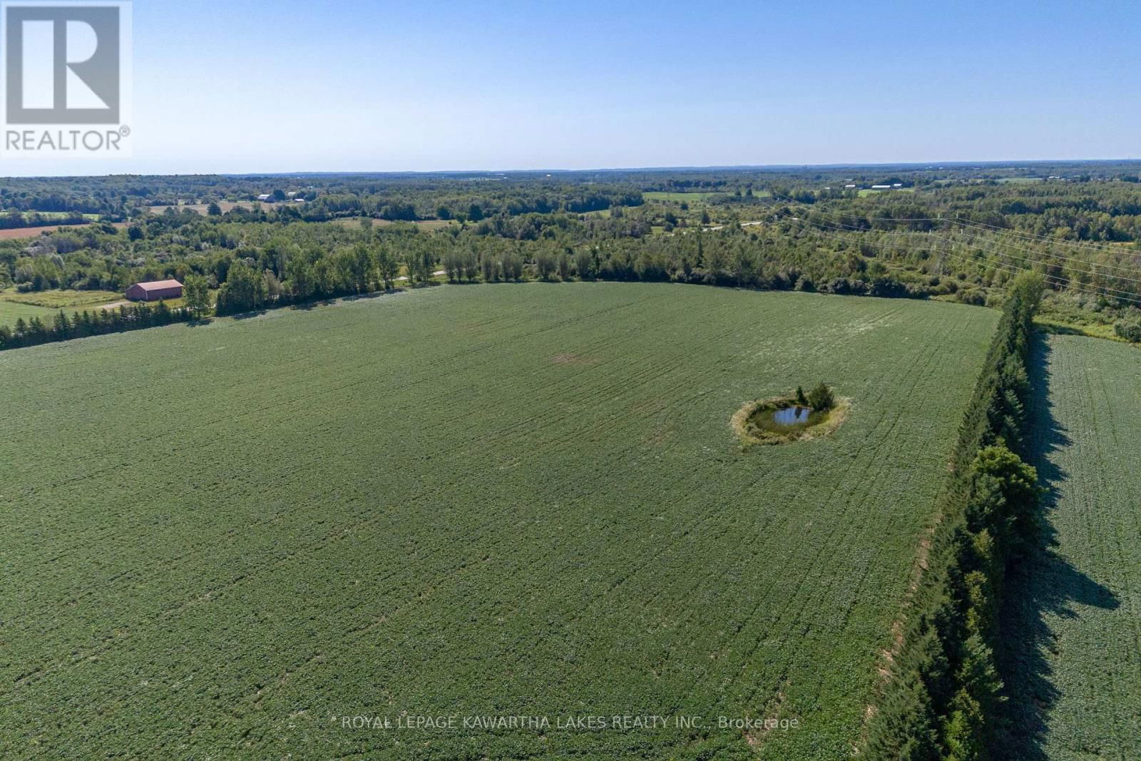 890 WOODVILLE ROAD Image 31