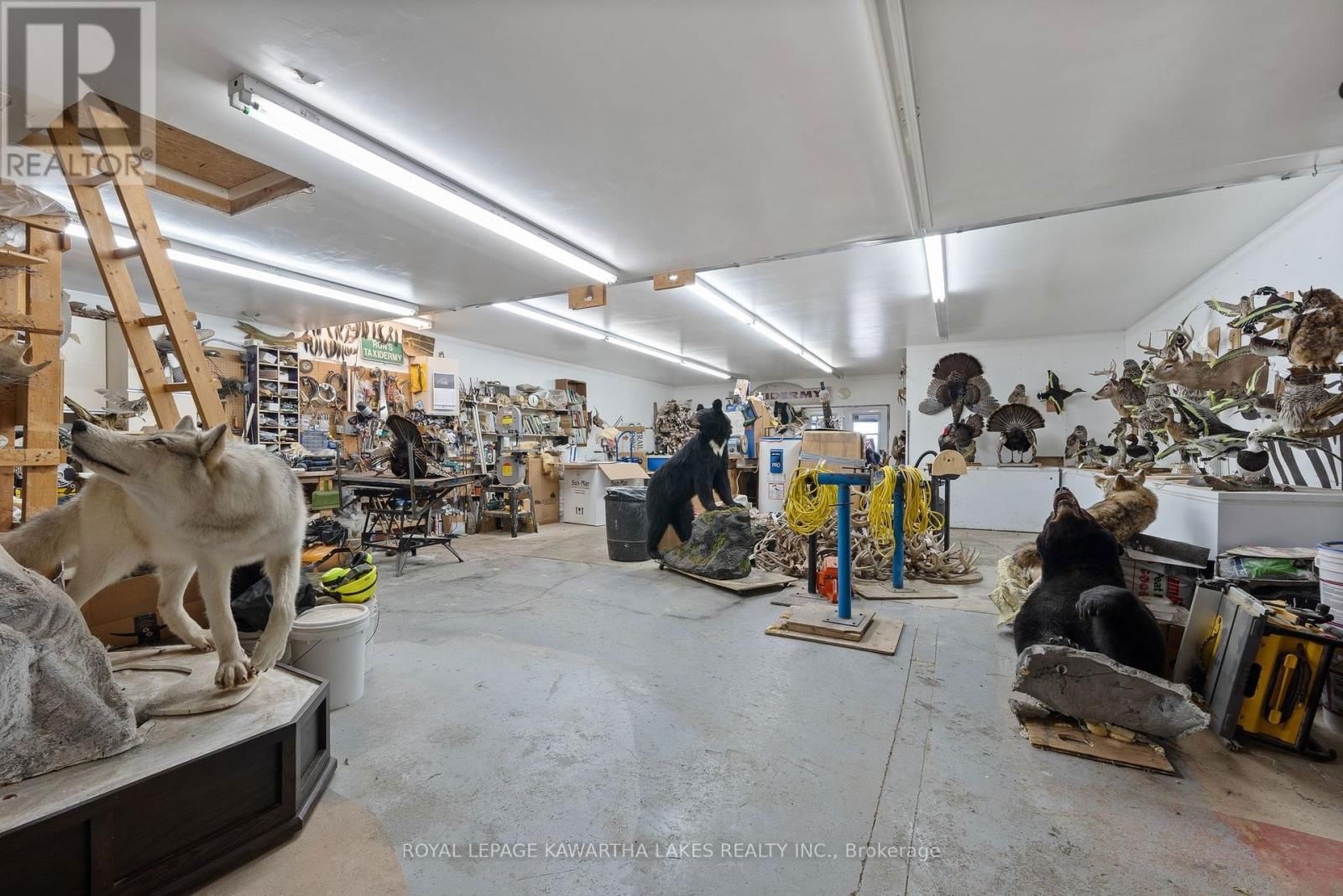 890 WOODVILLE ROAD Image 45