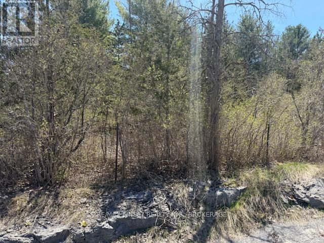 590 LOVE ROAD Image 7