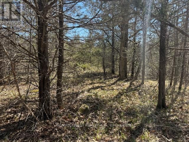 590 LOVE ROAD Image 8