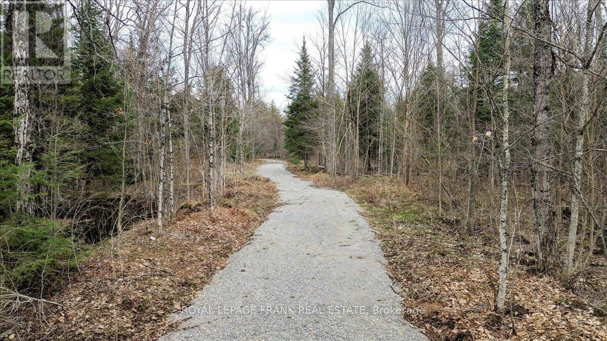 173 LEAN DRIVE Image 10