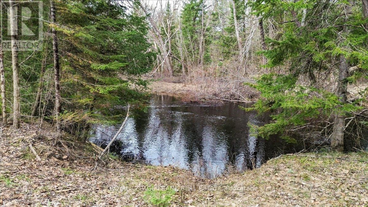 173 LEAN DRIVE Image 3