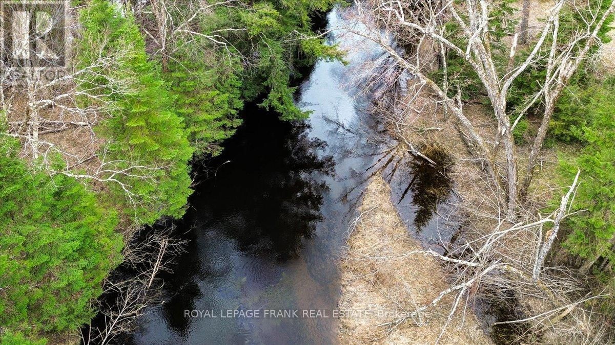 173 LEAN DRIVE Image 32