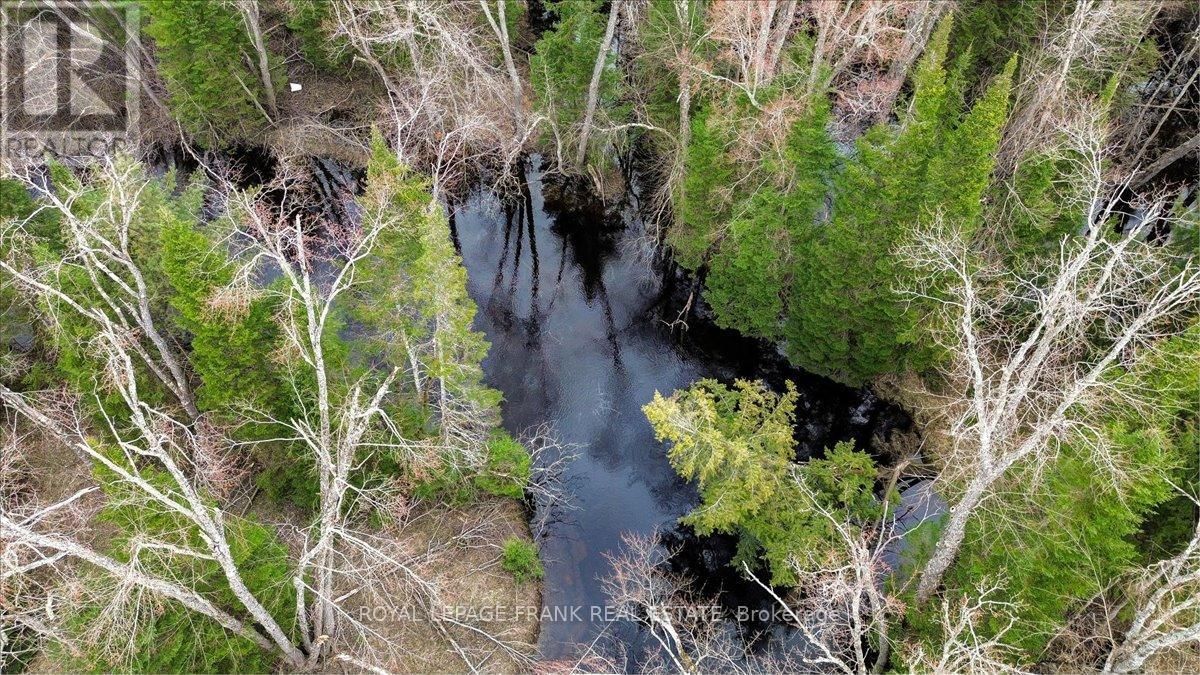 173 LEAN DRIVE Image 33
