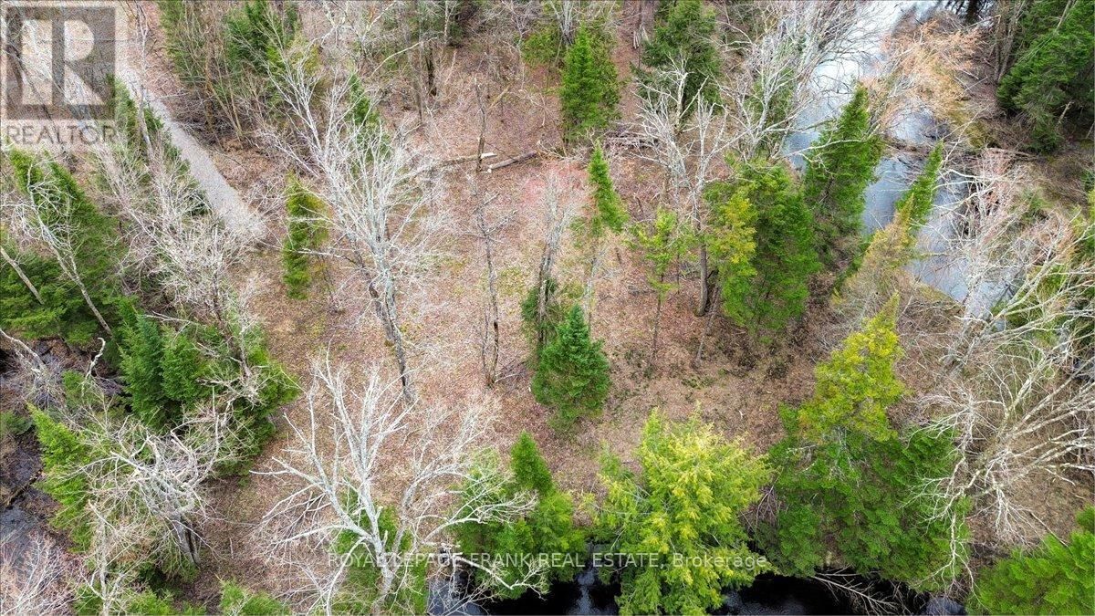173 LEAN DRIVE Image 34