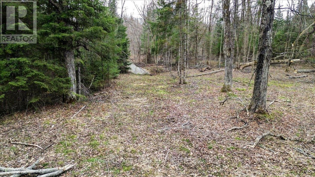 173 LEAN DRIVE Image 35