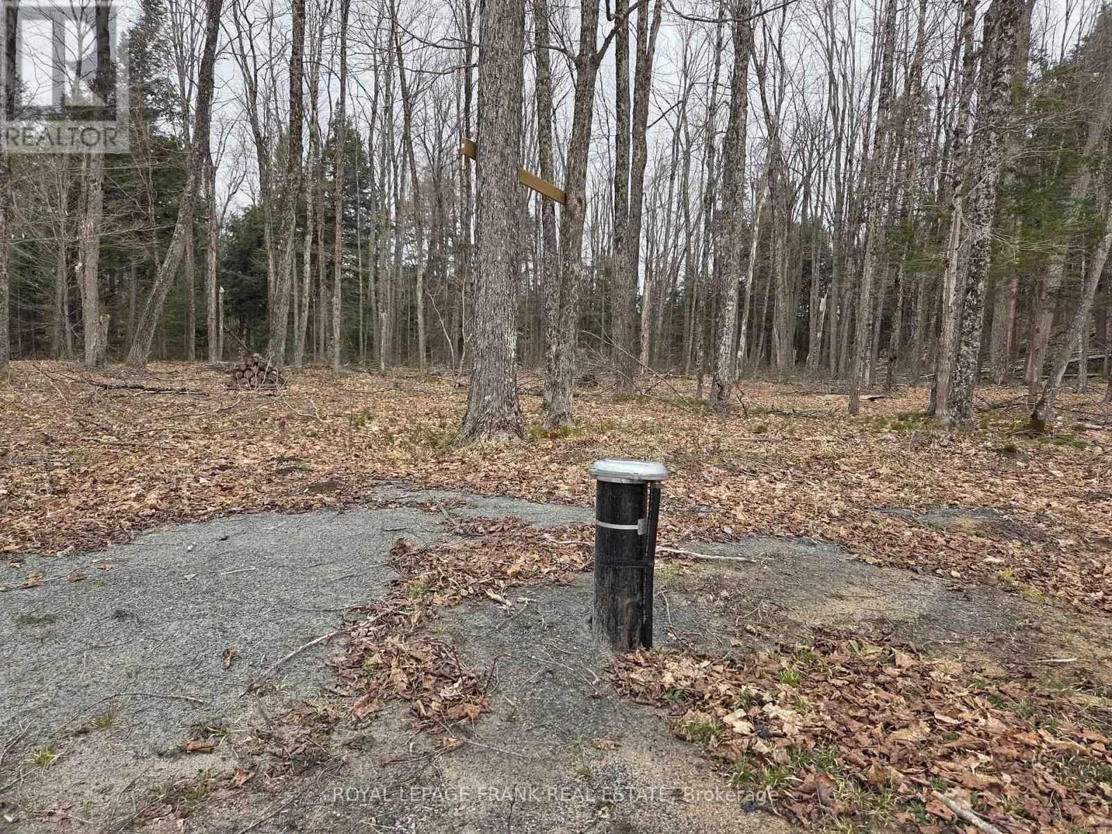 173 LEAN DRIVE Image 6