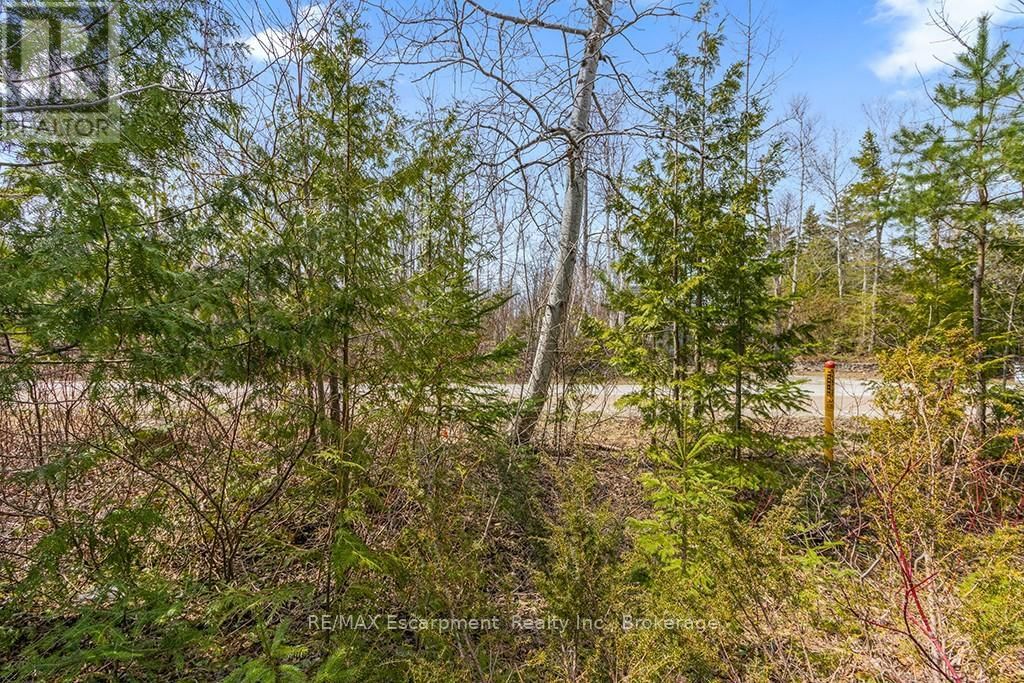 37 EMERSON AVENUE Image 10