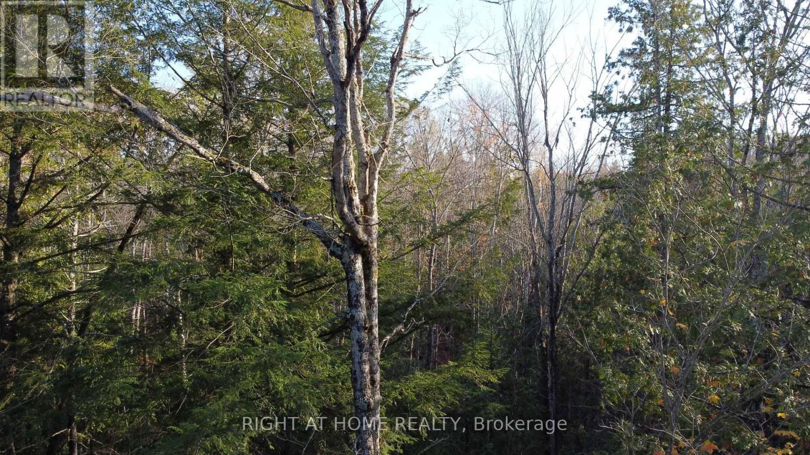 2263 MACHAR STRONG BOUNDRY ROAD Image 3
