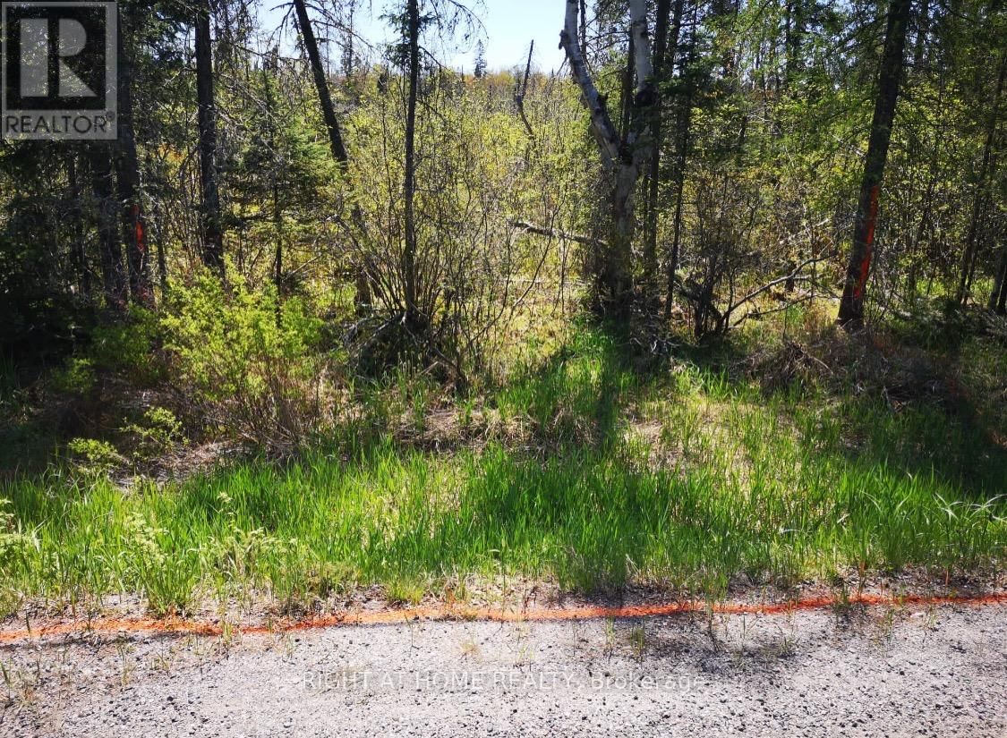 2263 MACHAR STRONG BOUNDRY ROAD Image 4