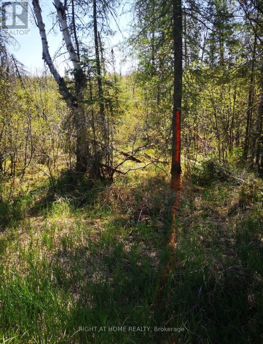2263 MACHAR STRONG BOUNDRY ROAD Image 6