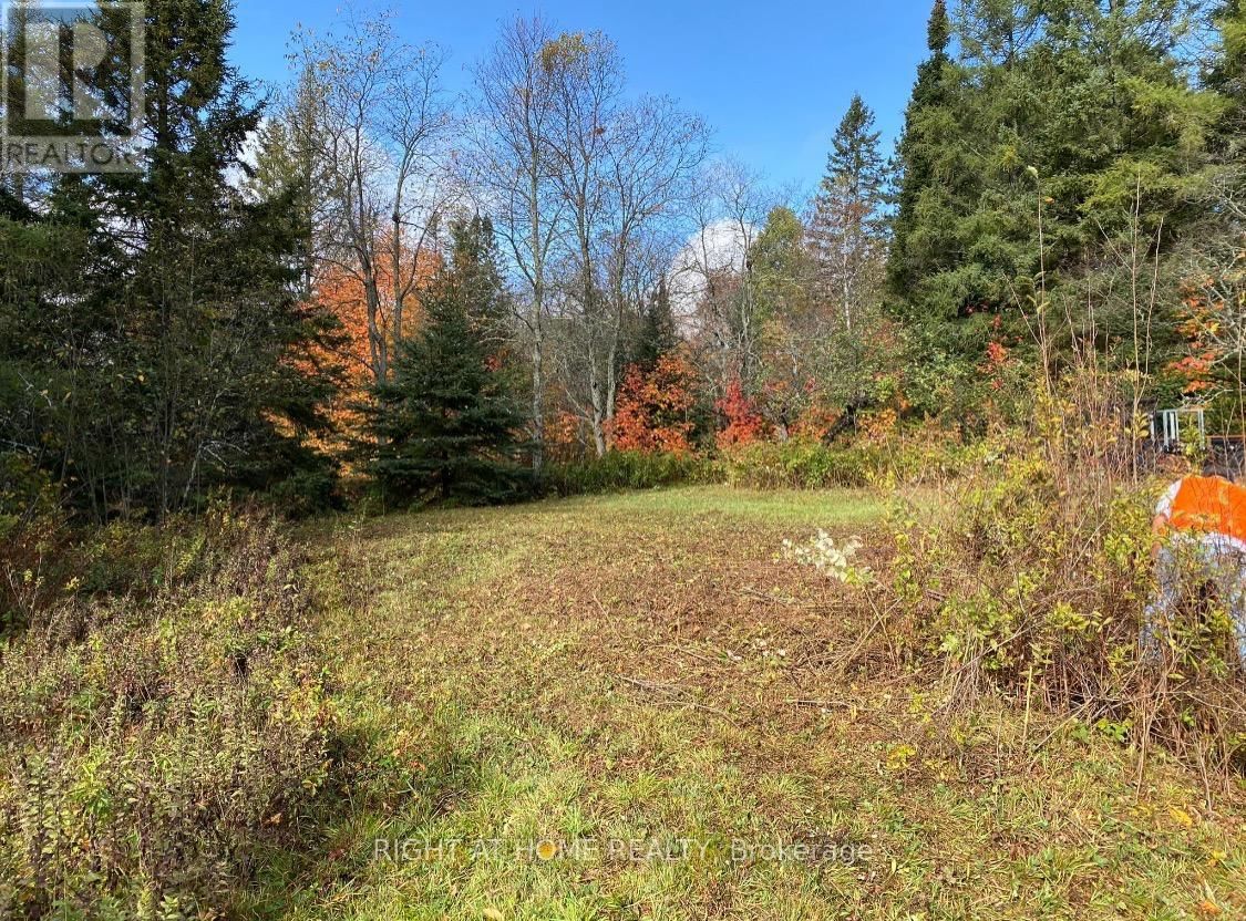 2263 MACHAR STRONG BOUNDRY ROAD Image 7