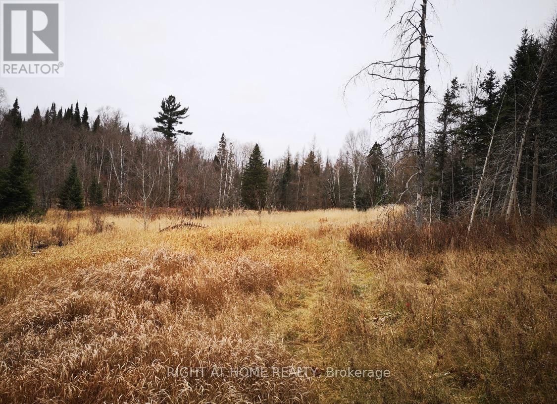 2263 MACHAR STRONG BOUNDRY ROAD Image 8