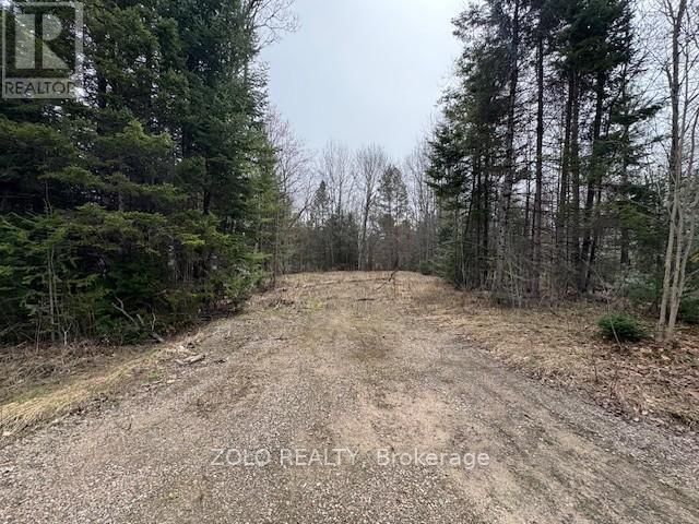 1040 HOLMES ROAD Image 11