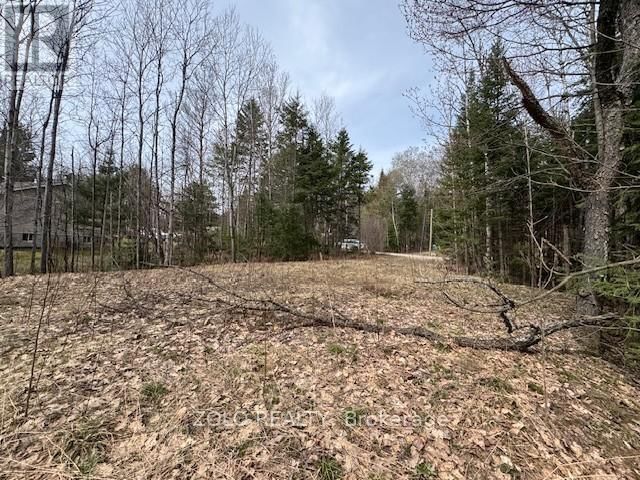 1040 HOLMES ROAD Image 15