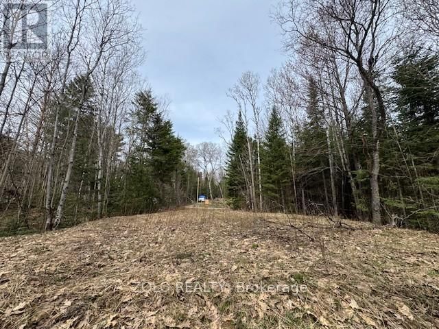 1040 HOLMES ROAD Image 16