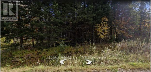 1040 HOLMES ROAD Image 3