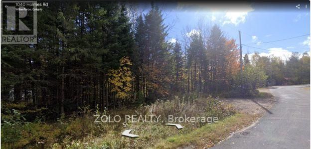 1040 HOLMES ROAD Image 4