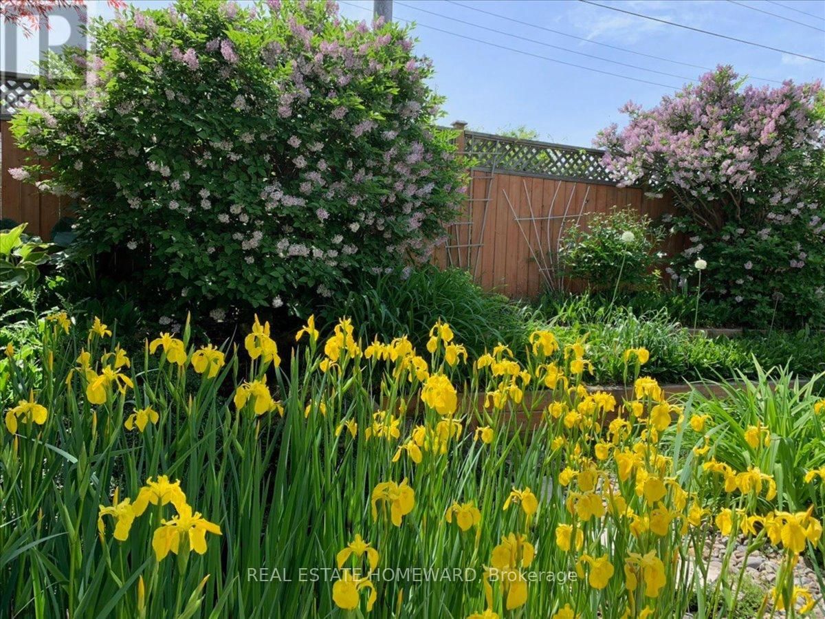 339 BUSHVIEW CRESCENT Image 41
