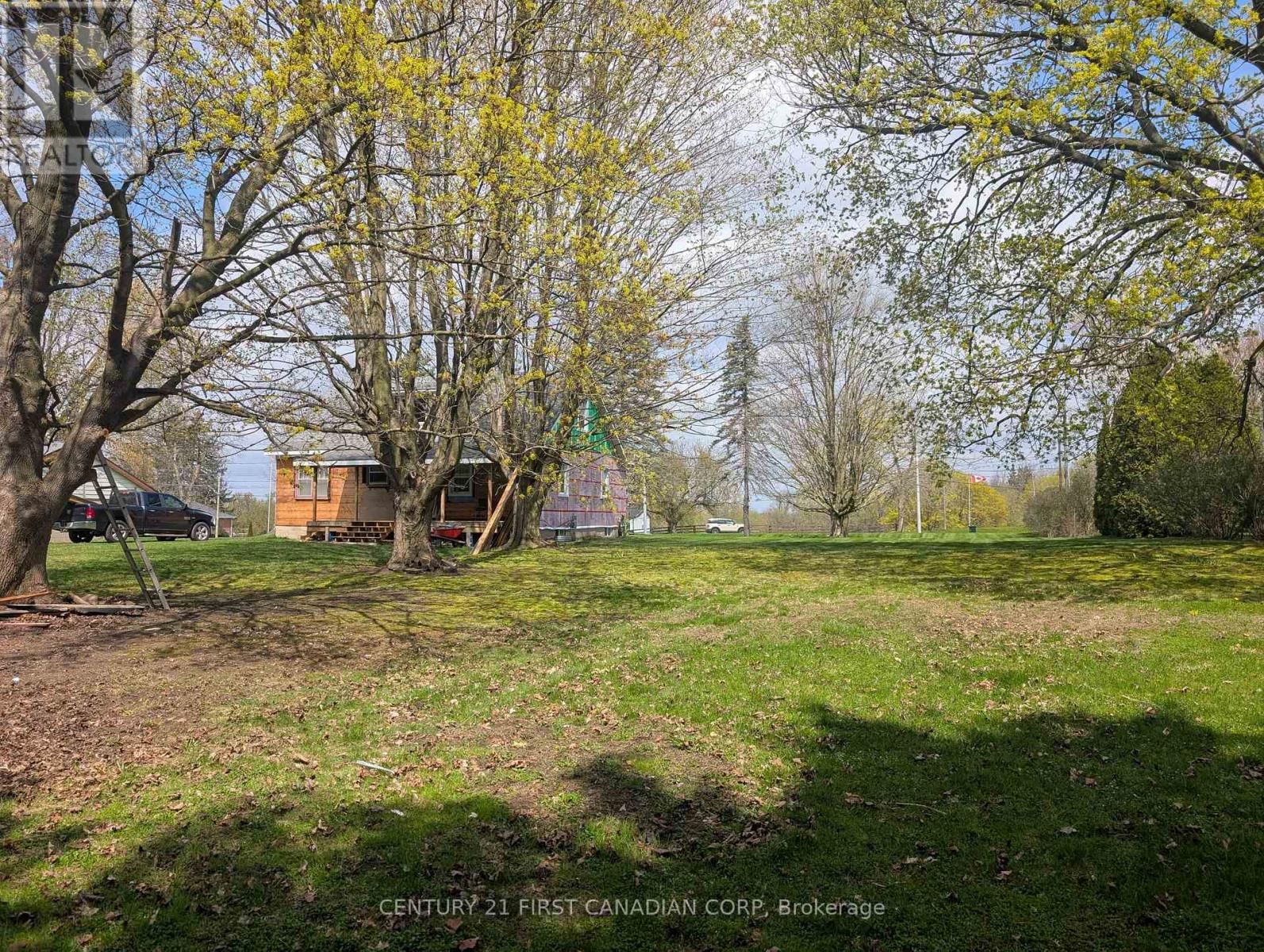211 KING EDWARD STREET Image 5