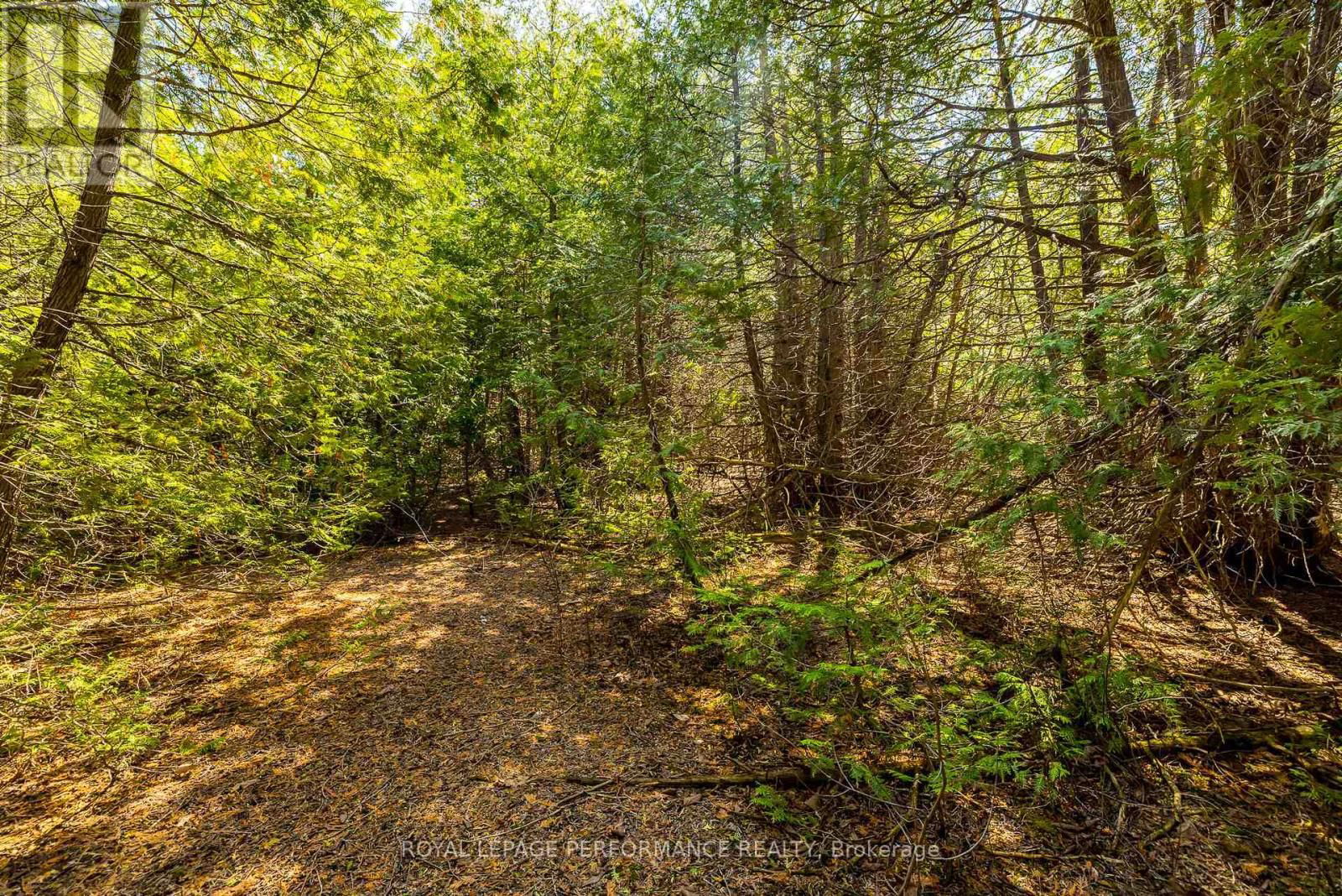 7940 IVESON DRIVE Image 13