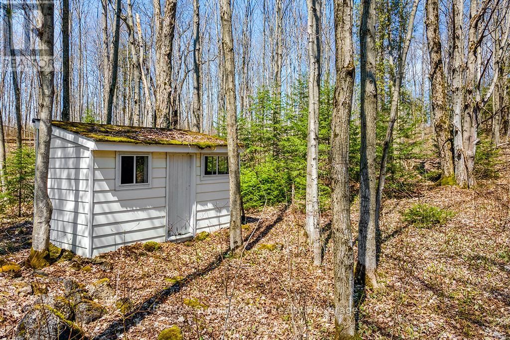 Lot 6 10TH CONCESSION Image 11