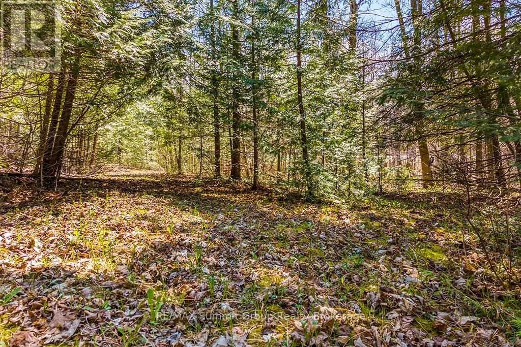 Lot 6 10TH CONCESSION Image 12