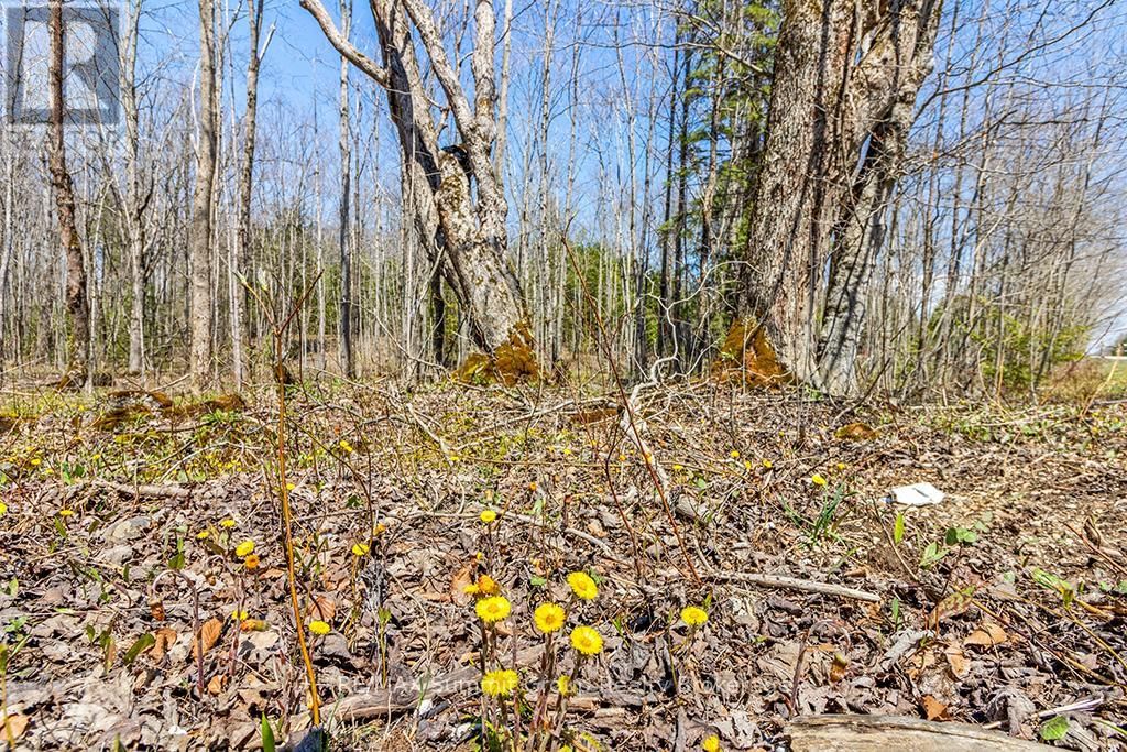 Lot 6 10TH CONCESSION Image 14