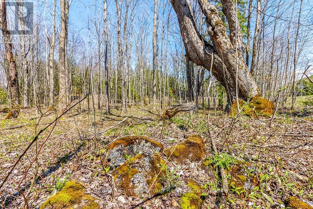 Lot 6 10TH CONCESSION Image 15