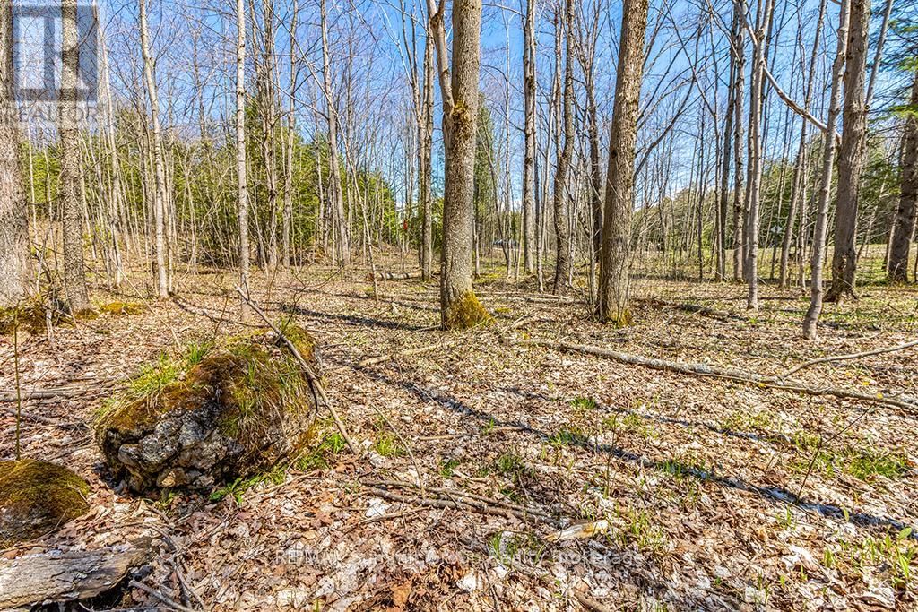 Lot 6 10TH CONCESSION Image 16