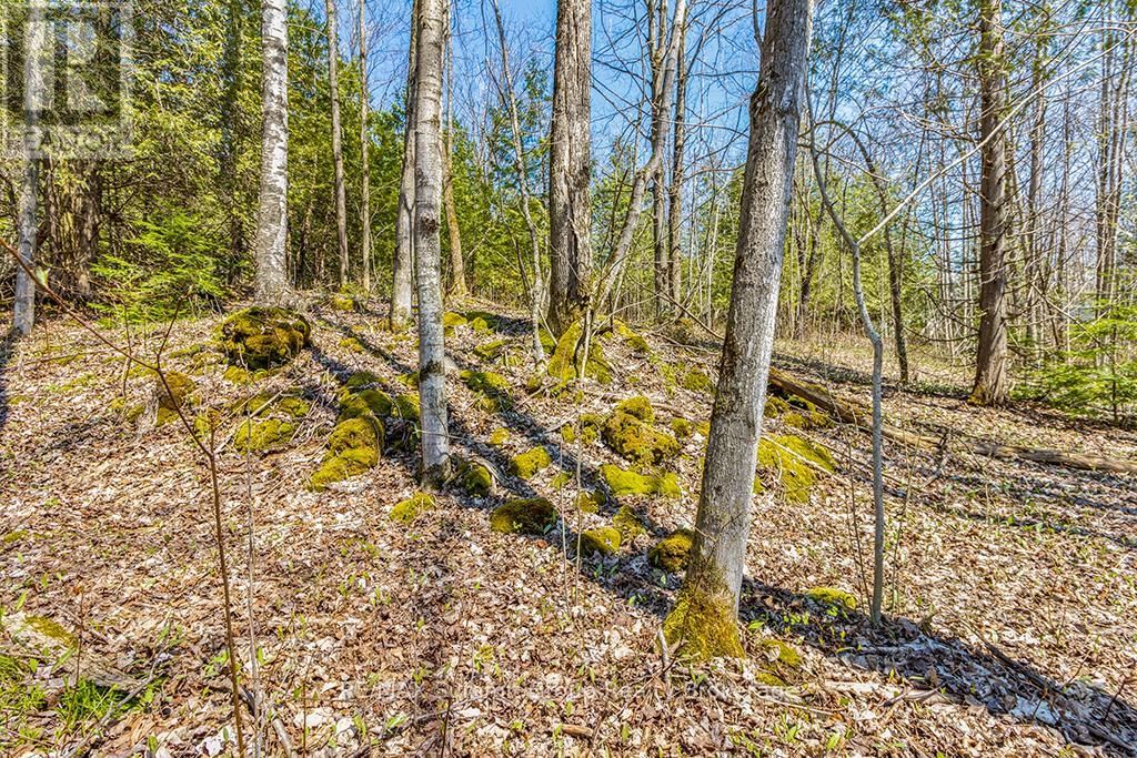 Lot 6 10TH CONCESSION Image 17
