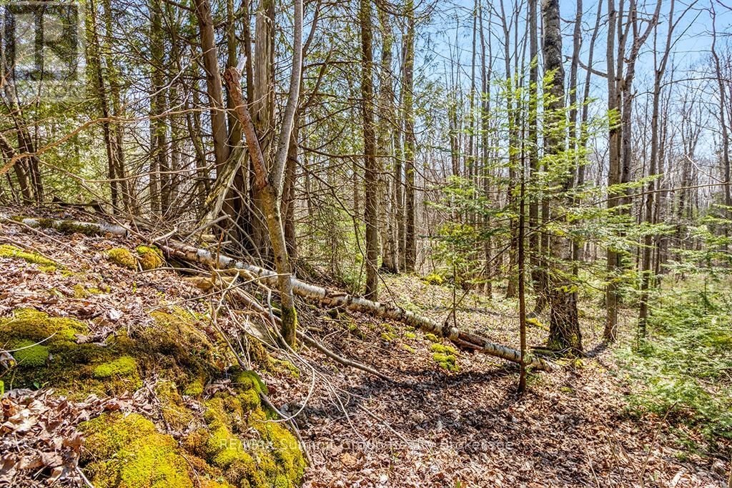 Lot 6 10TH CONCESSION Image 18