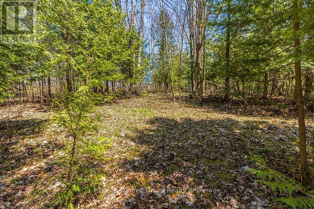 Lot 6 10TH CONCESSION Image 19