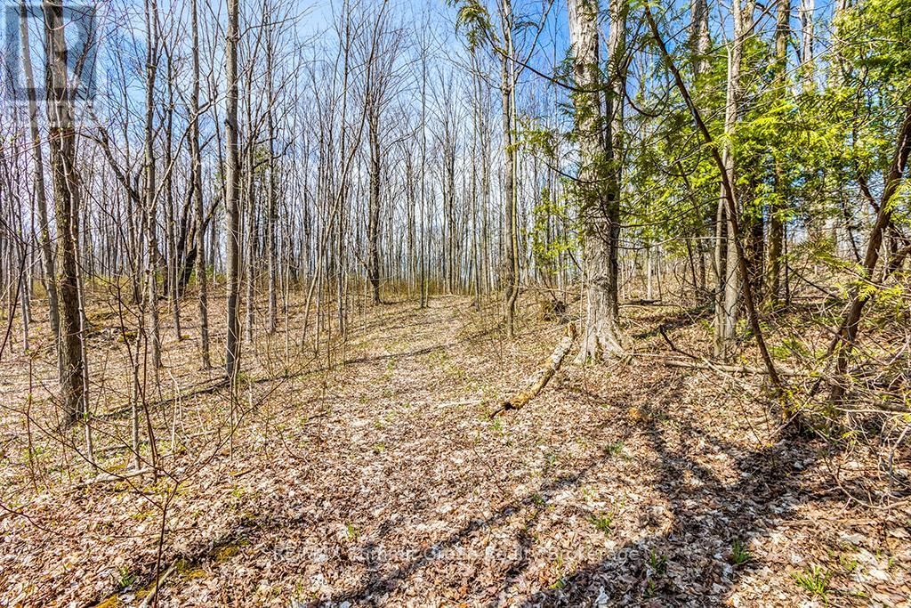 Lot 6 10TH CONCESSION Image 4