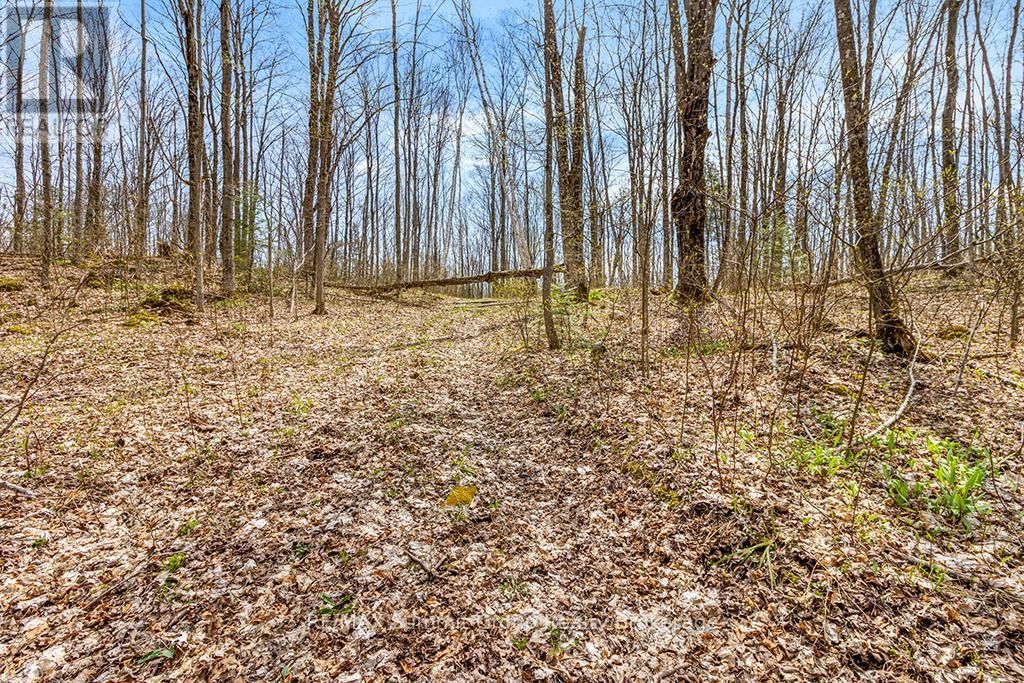 Lot 6 10TH CONCESSION Image 5