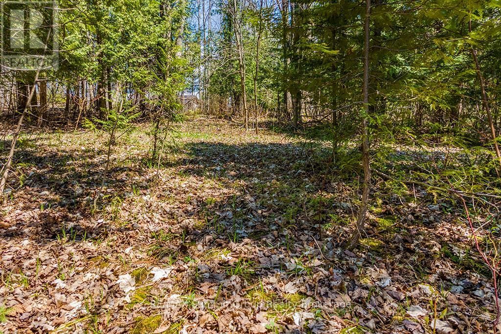 Lot 6 10TH CONCESSION Image 6