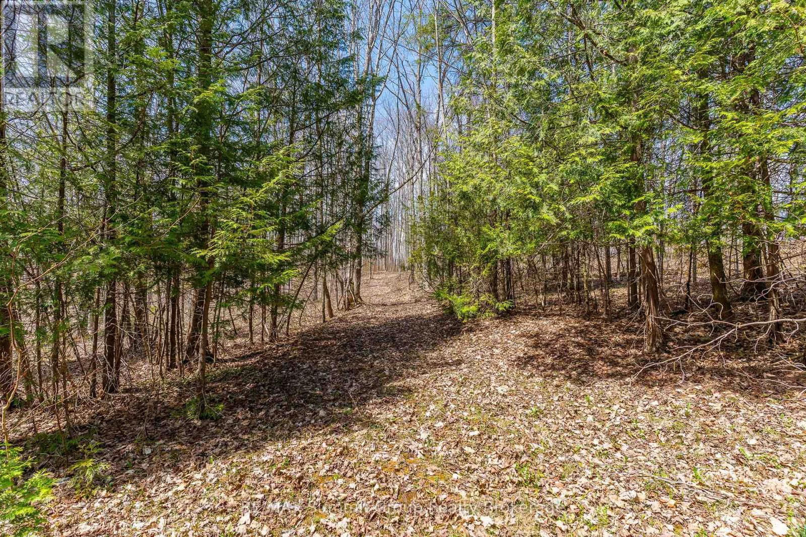 Lot 6 10TH CONCESSION Image 8