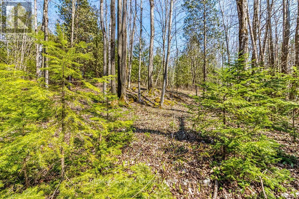 Lot 6 10TH CONCESSION Image 9