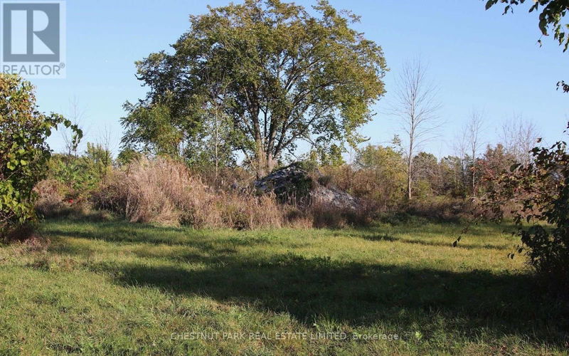 Tertiary Property View