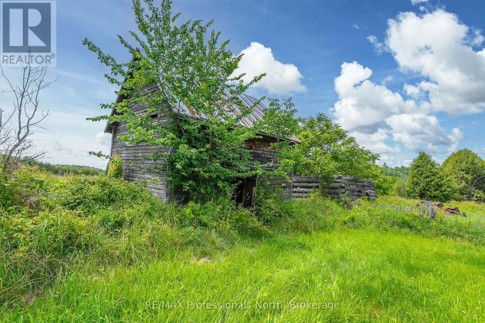 817 SCHUTT ROAD Image 17