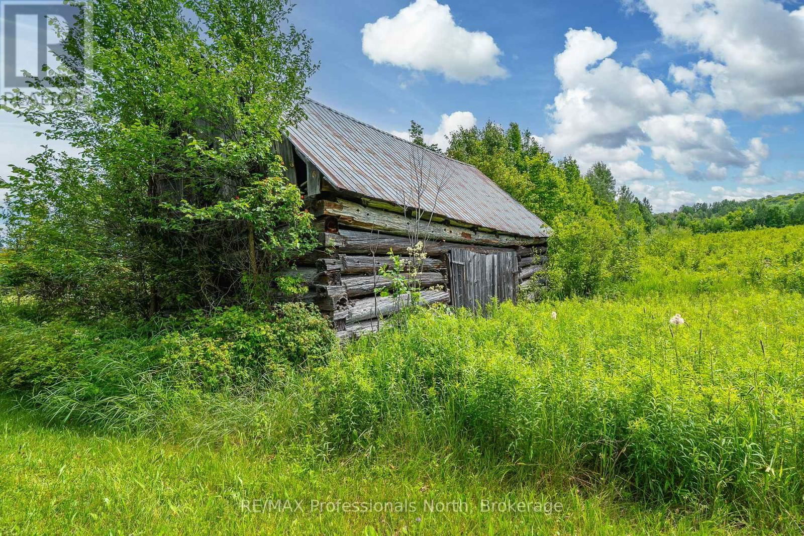 817 SCHUTT ROAD Image 21