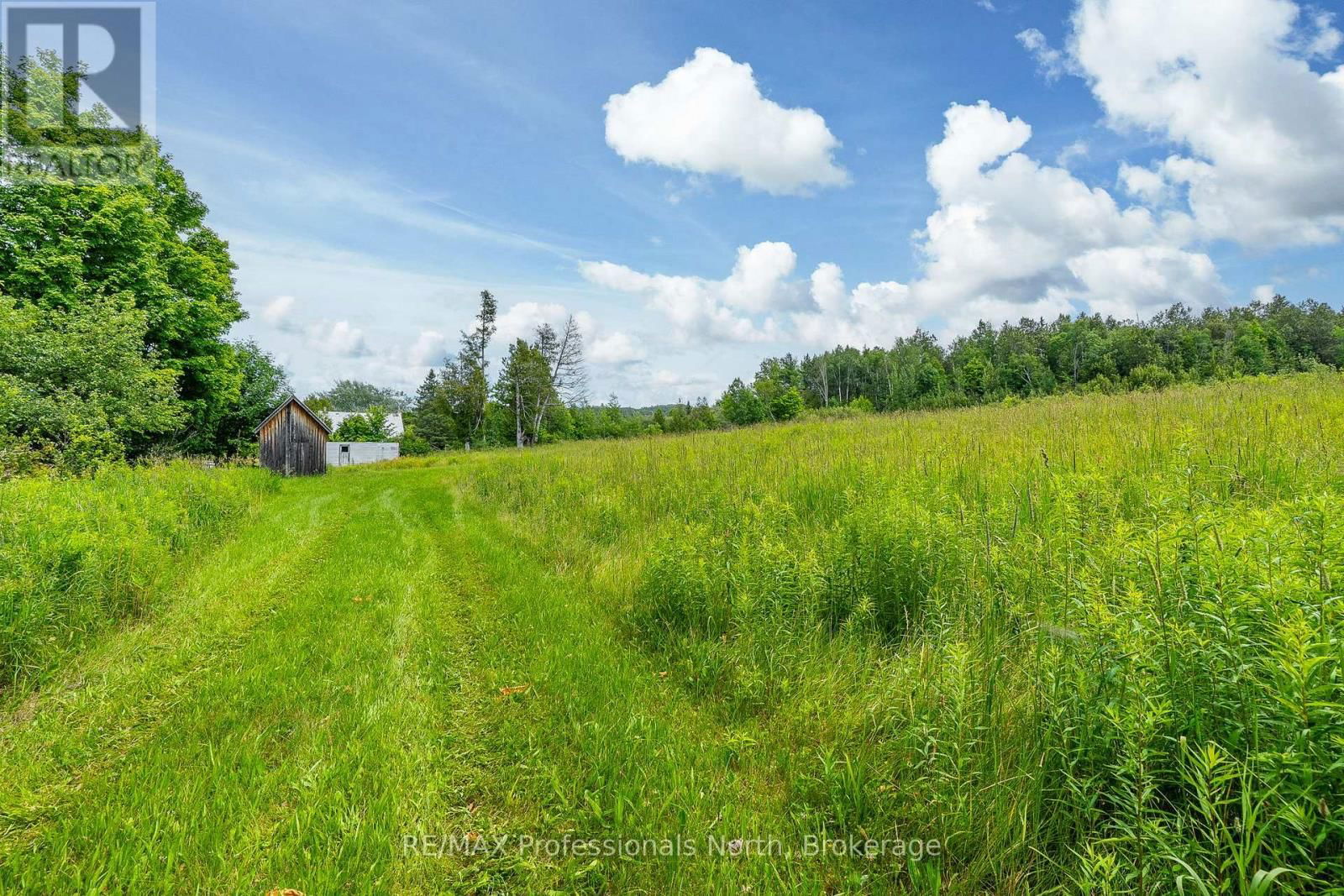 817 SCHUTT ROAD Image 4