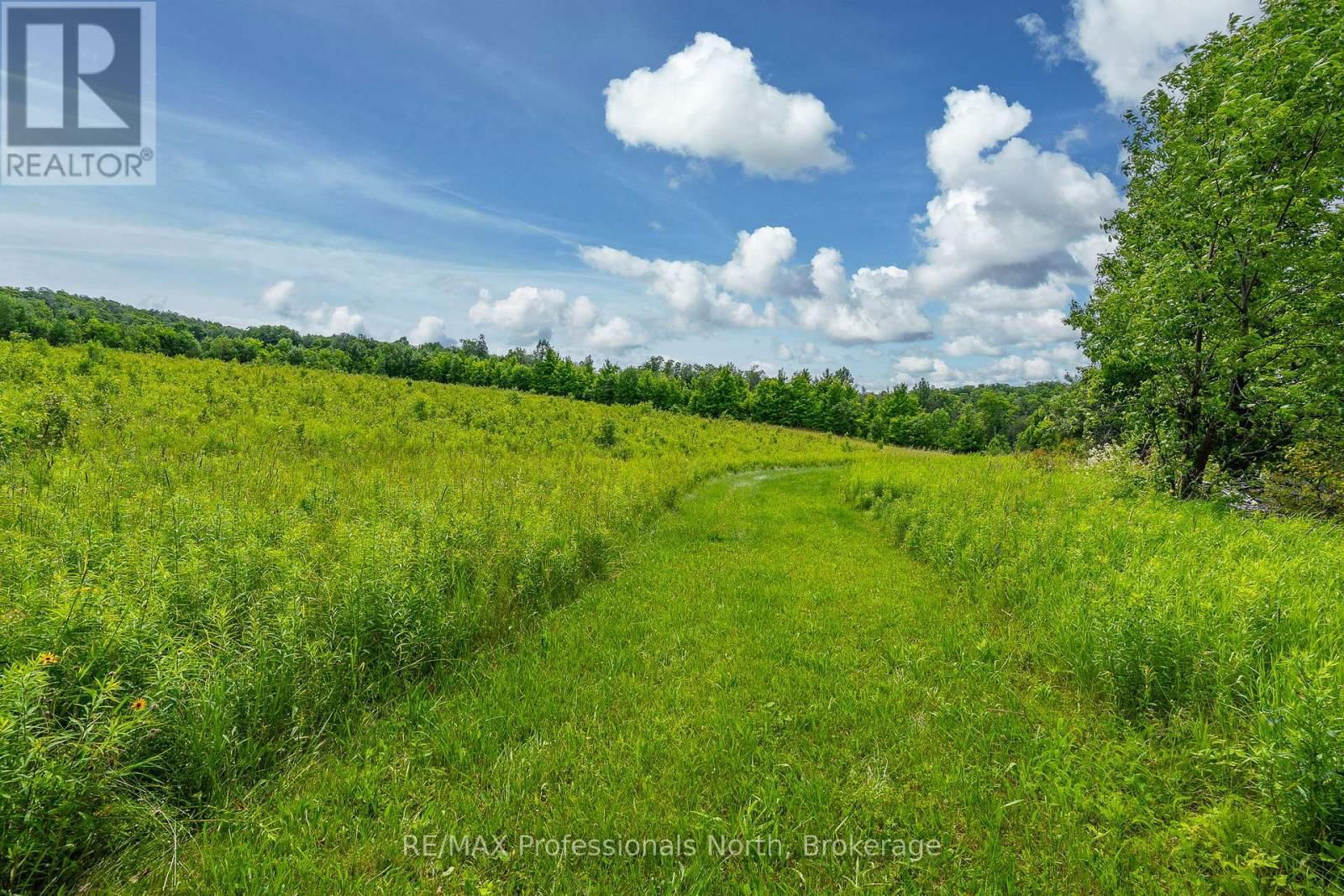 817 SCHUTT ROAD Image 5