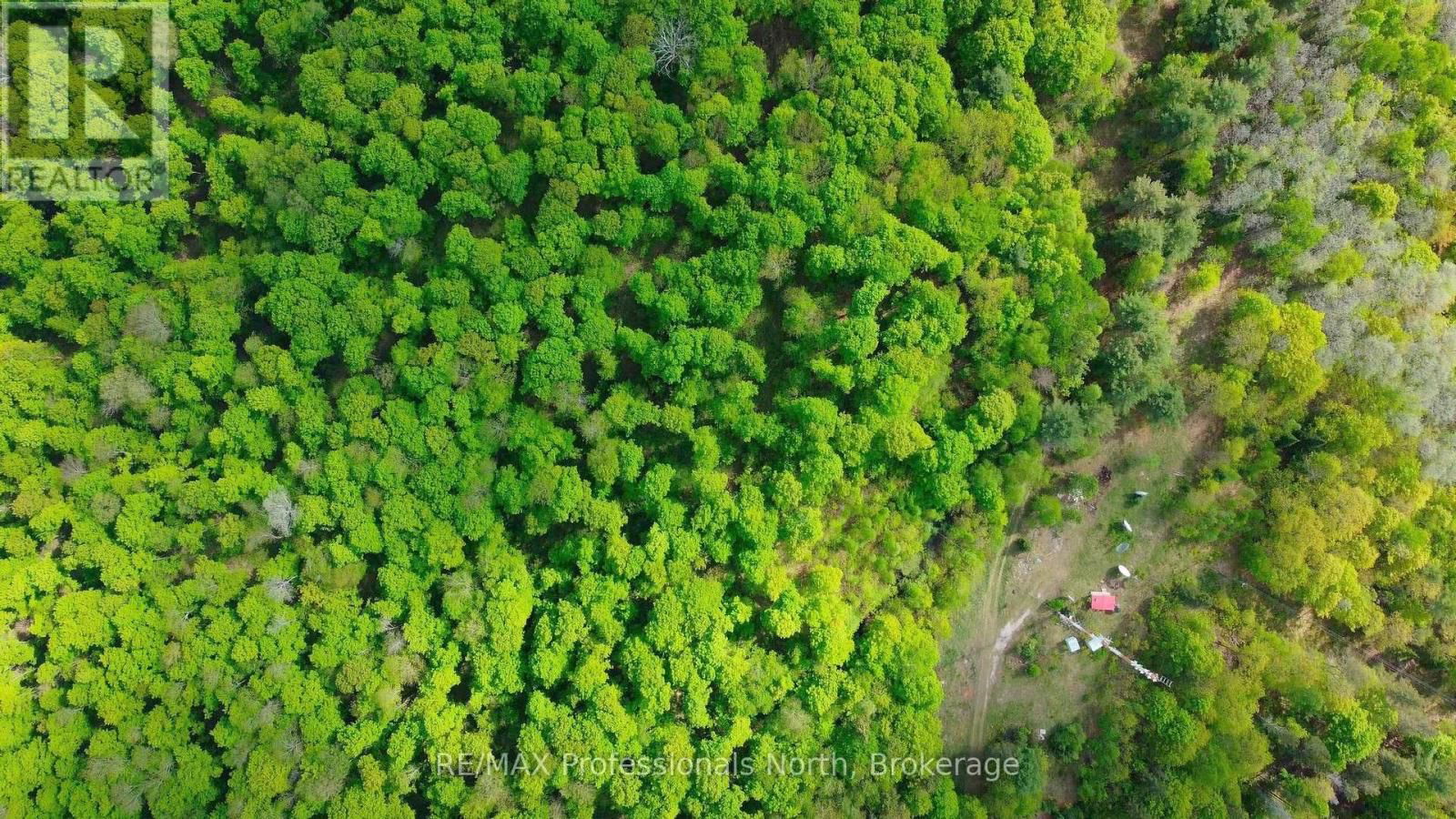 1062 COUNTY ROAD 21 Image 18