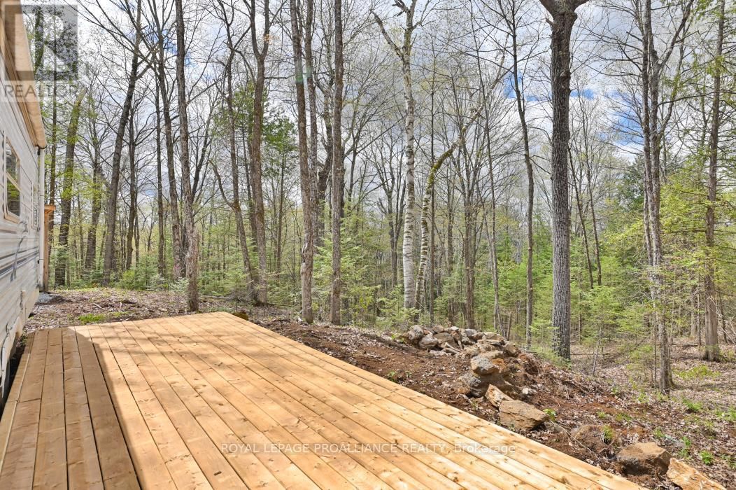 2060 SMITH ROAD Image 11
