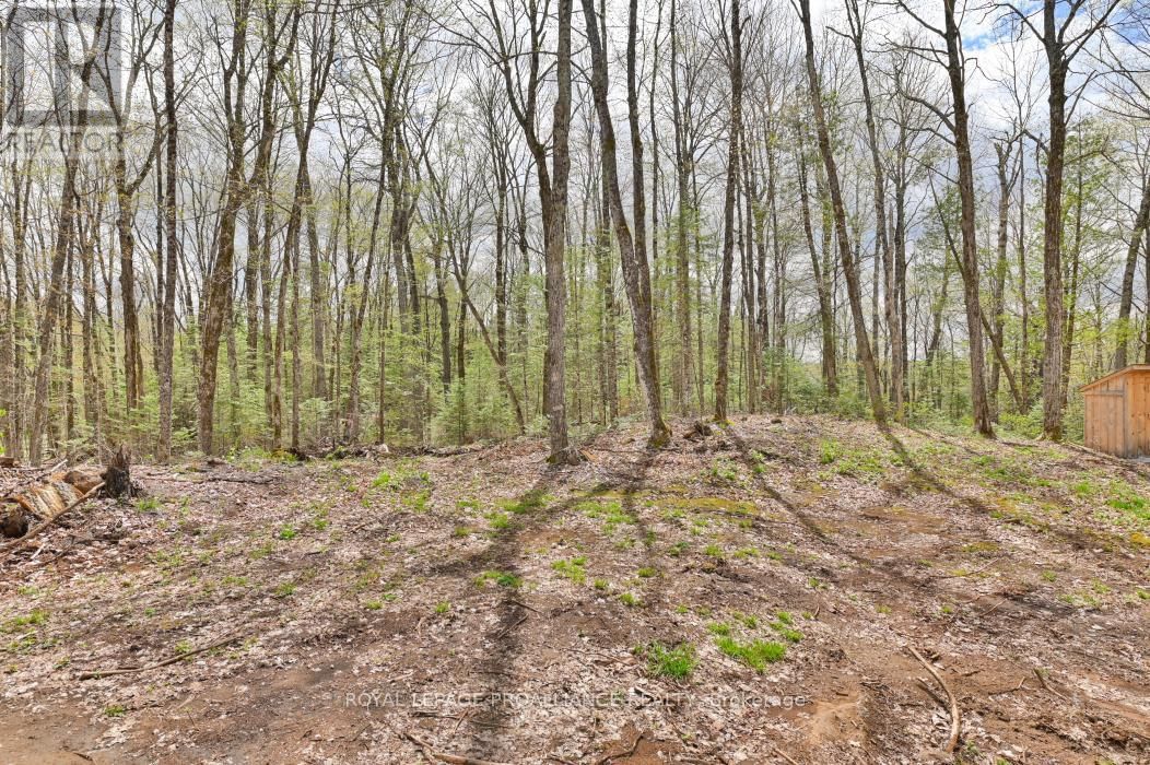 2060 SMITH ROAD Image 14