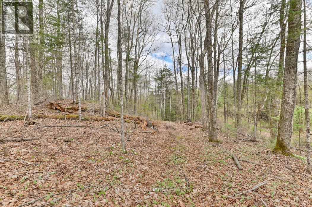 2060 SMITH ROAD Image 15