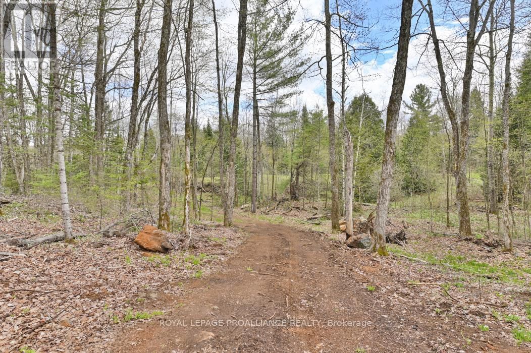 2060 SMITH ROAD Image 16