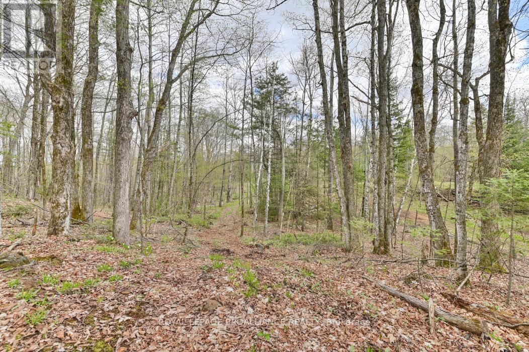 2060 SMITH ROAD Image 17