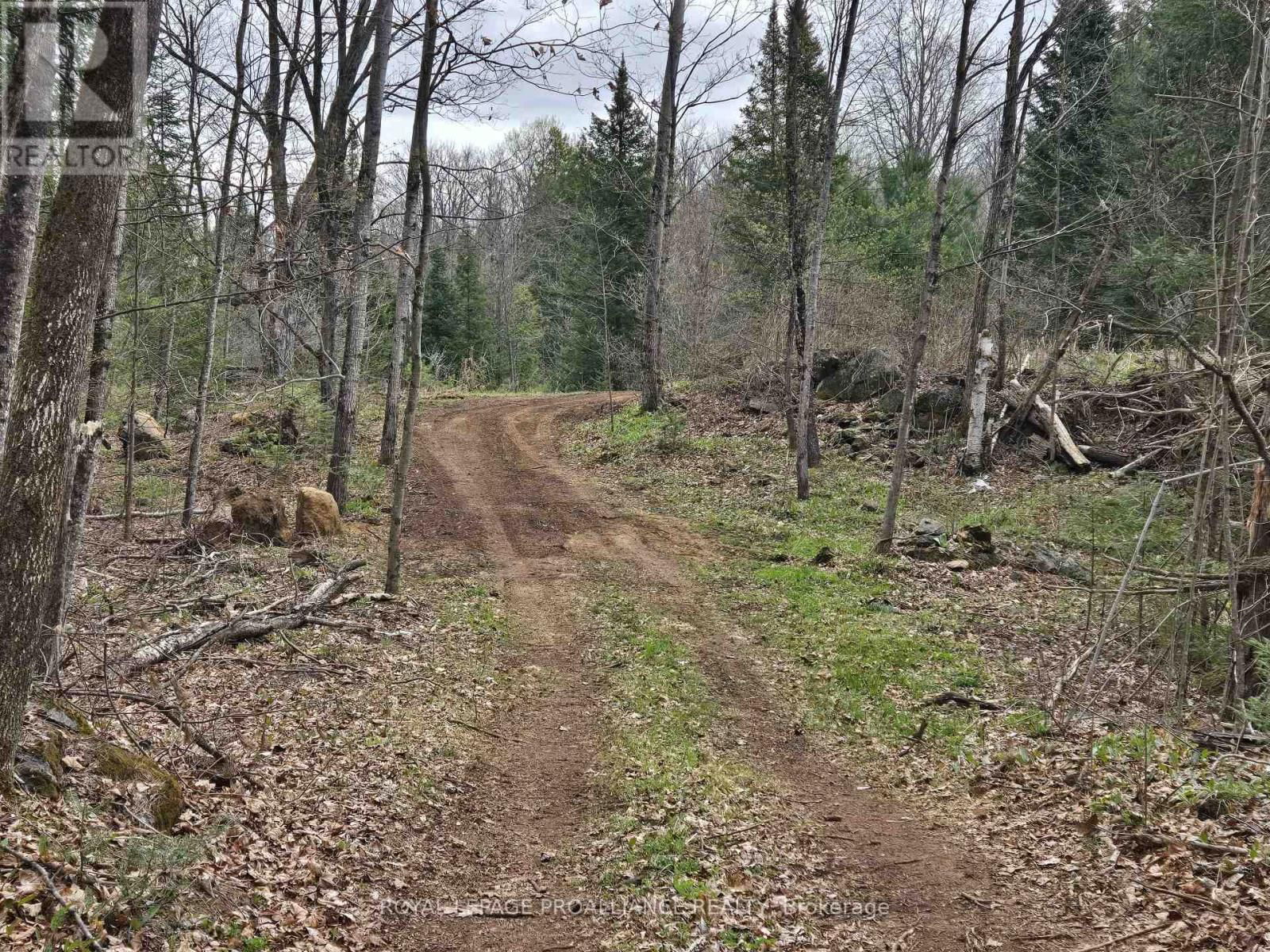 2060 SMITH ROAD Image 18
